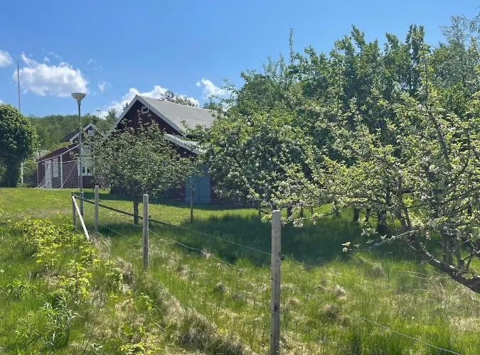 Lyckan - Minihus I Lantlig Miljoe